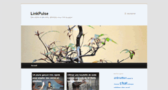 Desktop Screenshot of linkpulse.artetc56.com